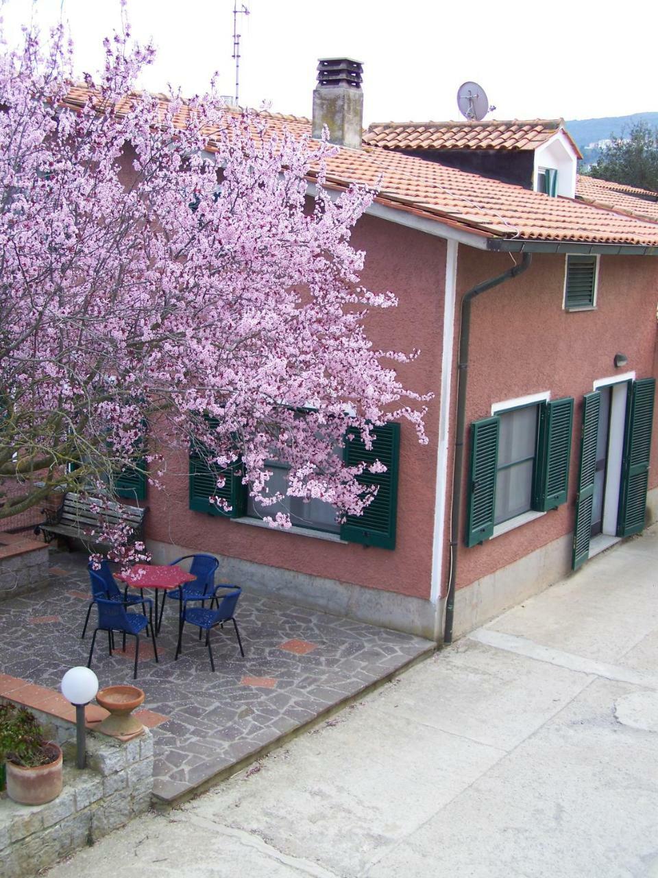 Appartamenti Gli Alberi Capoliveri  Exteriör bild
